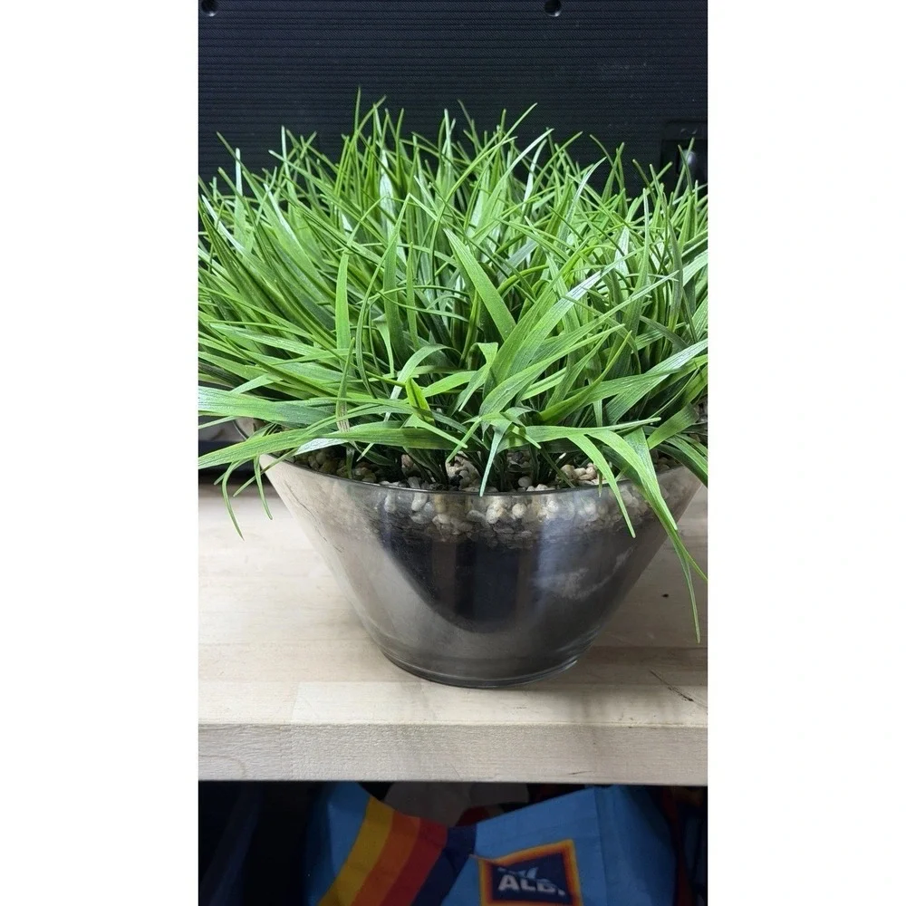 Artificial Grass Plant in Glass Pot Faux Green Decor ~12
